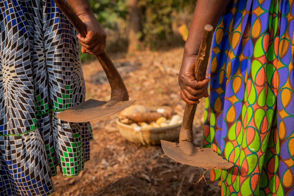 Nachhaltige Forstwirtschaft in Ghana