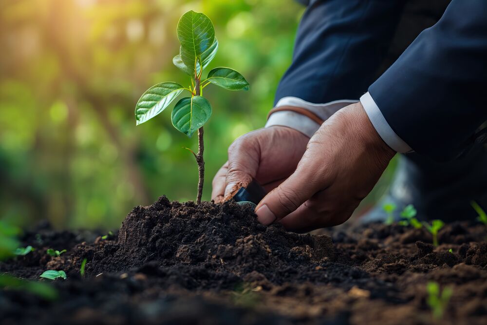 Von der Seed-Runde bis zum IPO